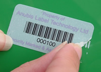 Tamper Evident Label